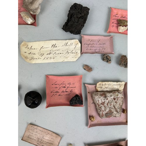 473 - A COLLECTION OF CURIOSITIES COLLECTED BY CAPTAIN JAMES MUDDLE TO INCLUDE HANDWRITTEN LABELS: Porphyr... 