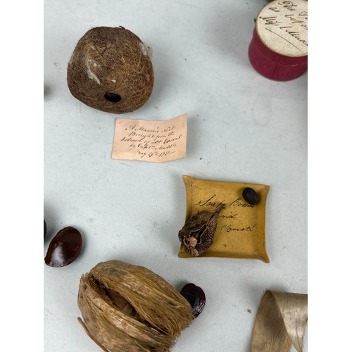 476 - A COLLECTION OF NATURAL CURIOSITIES COLLECTED BY CAPTAIN JAMES MUDDLE, SOME WITH HANDWRITTEN LABELS ... 