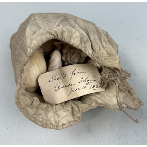 477 - A COLLECTION OF SHELLS FROM OCEAN ISLAND WITH HAND WRITTEN LABEL DATED JUNE 10TH 1834 Reverse of the... 