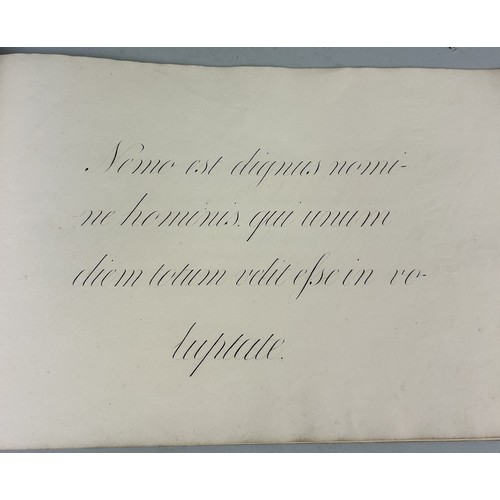 480 - A VICTORIAN ALBUM CONTAINING SPECIMENS OF PLAIN AND ORNAMENTAL PENMANSHIP BY JOHN MUDDLE Relative of... 