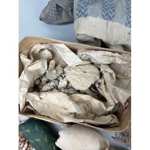 478 - A LARGE COLLECTION OF SHELLS COLLECTED BY CAPTAIN JAMES MUDDLE CIRCA 1830'S-40'S Some with labels, p... 