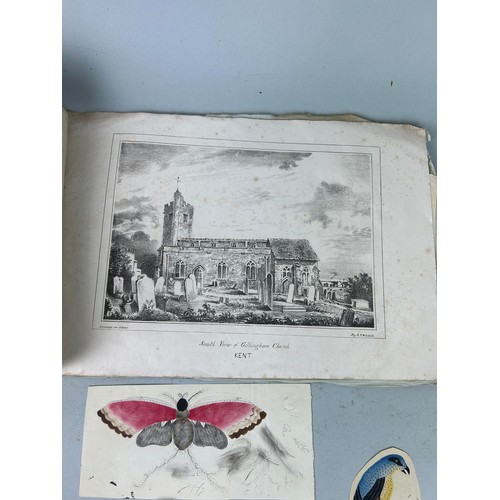 500 - A SMALL COLLECTION OF NATURAL HISTORY WATERCOLOUR DRAWINGS BY A RELATIVE OF CAPTAIN JAMES MUDDLE ALO... 