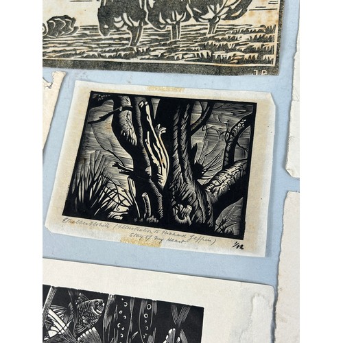 566 - ETCHINGS AND WOODCUT PRINTS TO INCLUDE: ETHELBERT WHITE, TOM CHADWICK, LAURENCE ANGUS (6) Largest 26... 