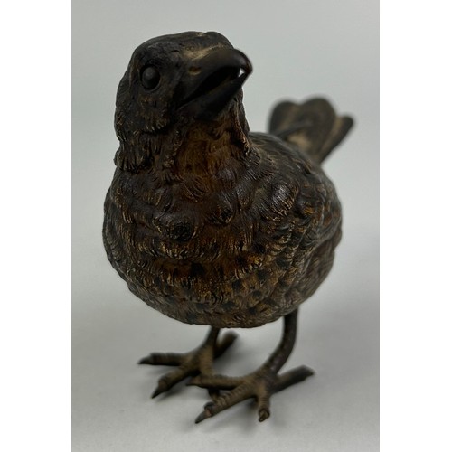 626 - A COLD PAINTED VIENNESE BRONZE BIRD MARKED GESCHUTZ BERGMANN 459 17cm x 10cm