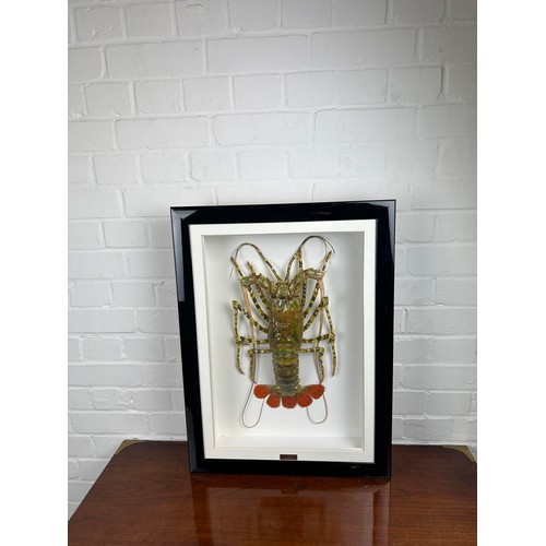 715 - TAXIDERMY SPINEY LOBSTER (PALINURIDAE) BY S.J. STRATH Mounted in a white painted glass fronted displ... 