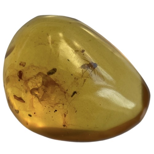 739 - A FLYING INSECT FOSSIL IN DINOSAUR AGED AMBER A highly detailed flying insect in amber. From the amb... 