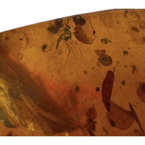 737 - A DETAILED WING AND MOSQUITO IN DINOSAUR AGED AMBER A highly detailed insect wing, alongside a mosqu... 