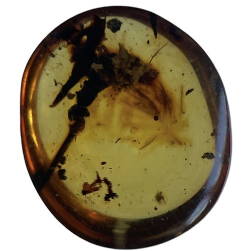 748A - A DINOSAUR FEATHER FOSSIL IN AMBER A clear piece of amber containing an exceptionally dinosaur feath... 