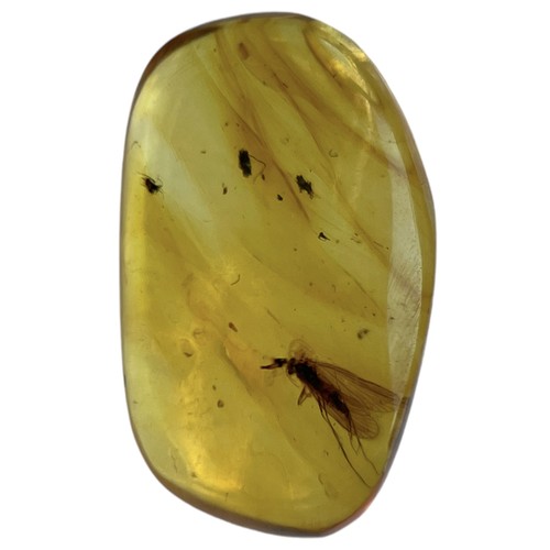 740 - A FLYING INSECT FOSSIL IN DINOSAUR AGED AMBER A highly detailed flying insect in clear amber. From t... 