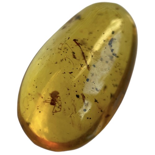 742 - A SPIDER FOSSIL IN DINOSAUR AGED AMBER A rare and detailed spider in a clear amber gem. From the amb... 