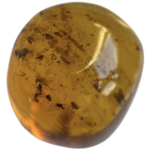 743 - A SWARM OF INSECT FOSSILS IN DINOSAUR AGED AMBER A highly unusual swarm of detailed insect fossils i... 