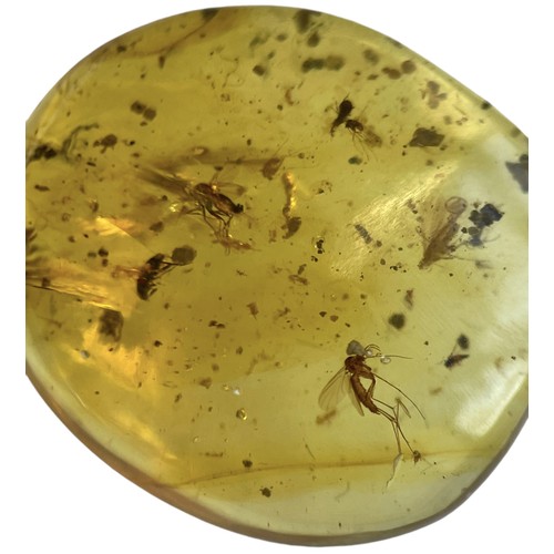 741 - A MOSQUITO FOSSIL IN DINOSAUR AGED AMBER A highly detailed and large Mosquito, alongside others in c... 