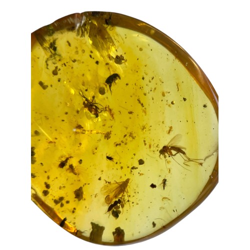 741 - A MOSQUITO FOSSIL IN DINOSAUR AGED AMBER A highly detailed and large Mosquito, alongside others in c... 