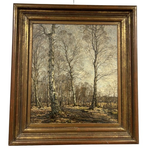 767 - CARL HANSEN (DANISH, 20TH CENTURY): AN OIL PAINTING ON CANVAS DEPICTING A WOODLAND SCENE WITH SILVER... 