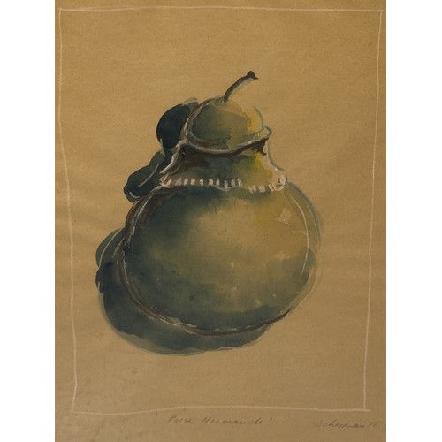 781 - TONY SCHERMAN (CANADIAN B.1950): A WATERCOLOUR PAINTING ON PAPER 'POIRE NORMANDE' 59cm x 45cm Framed... 