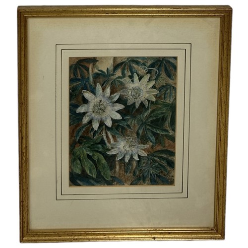 835 - A VICTORIAN WATERCOLOUR PAINTING ON PAPER DEPICTING FLOWERS Signed bottom left 'A.D LUC', the remain... 