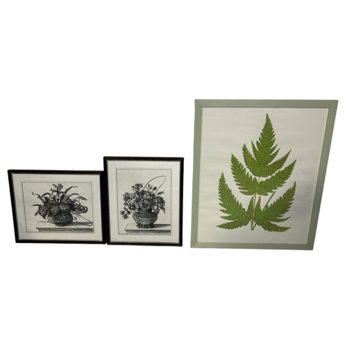 899 - A LARGE WATERCOLOUR PAINTING OF A FERN, ALONG WITH TWO CHARCOAL FLORAL STUDIES (3) Each framed and g... 