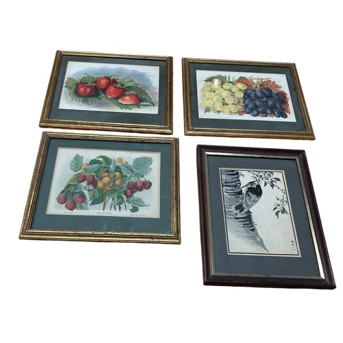 896 - ANTIQUE PRINTS DEPICTING FRUITS ALONG WITH JAPANESE PRINT DEPICTING A BIRD (4) Each framed and glaze... 