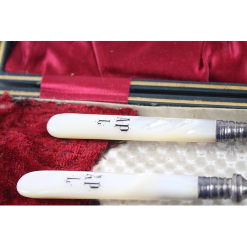 422B - 925 STERLING SILVER AND MOTHER OF PEARL BOXED CUTLERY SET

Weight: 58gms