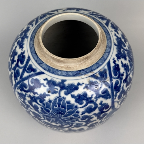 224 - A CHINESE PORCELAIN BLUE AND WHITE JAR
22cm x 20cm