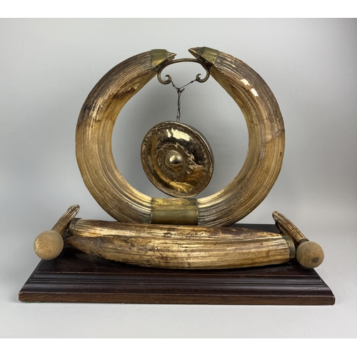 263 - A LARGE VICTORIAN HIPPO TUSK GONG WITH ENGRAVED PLAQUE 'SHOT IN THE SOBAT RIVER...XMAS 1889'
With st... 