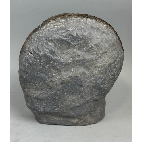 399 - A LARGE AMMONITE FOSSIL FROM LYME REGIS
Jurassic circa 200 million years old.
 
30cm x 28cm
 
This A... 