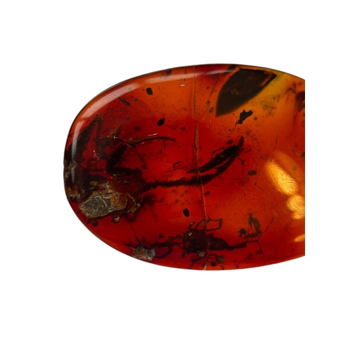 441 - A PAIR OF SCORPION FOSSILS IN DINOSAUR AGED AMBER
A single Scorpion fossil in amber is extremely rar... 