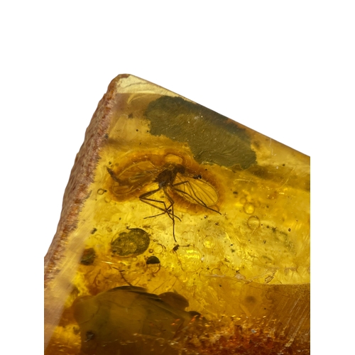 442 - A FLYING INSECT FOSSIL IN LARGE BALTIC AMBER
A highly detailed flying insect in a large piece of Bal... 