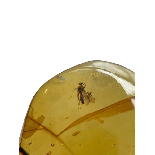 443 - A BEE AND TERMITE FOSSIL IN LARGE AMBER
A stunning, large amber gem containing a detailed Bee and Wi... 