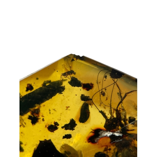 444 - A LARGE CRICKET FOSSIL IN DINOSAUR AGED AMBER
A large, detailed Cricket alongside plant debris. From... 