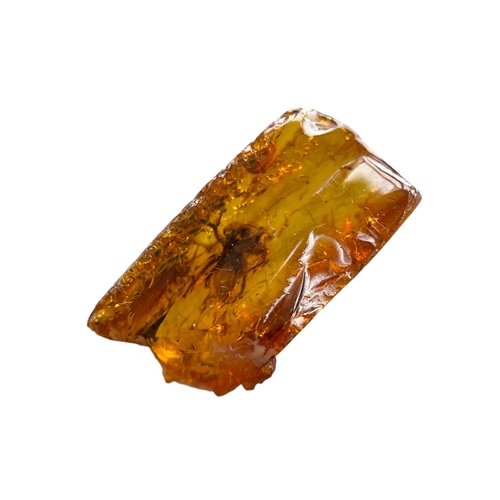 449 - A SPIDER FOSSIL IN BALTIC AMBER
A highly detailed Spider in Baltic amber. From Kaliningrad, Russia. ... 