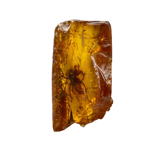 449 - A SPIDER FOSSIL IN BALTIC AMBER
A highly detailed Spider in Baltic amber. From Kaliningrad, Russia. ... 