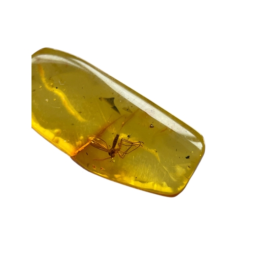 451 - A FLYING INSECT FOSSIL IN BALTIC AMBER
A highly detailed flying insect in Baltic amber. From Kalinin... 