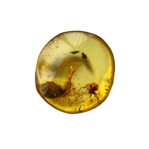 452 - A SPIDER FOSSIL IN BALTIC AMBER
A highly detailed Spider in Baltic amber. From Kaliningrad, Russia. ... 