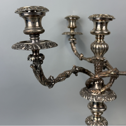 191 - A 19TH CENTURY SHEFFIELD SILVER PLATED CANDLESTICK
65cm H