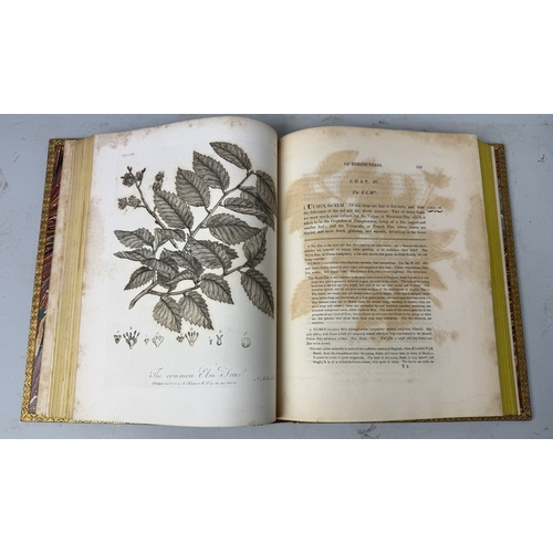 292 - JOHN EVELYN: SILVA AND TERRA, VOL I AND II, BROWN LEATHER BOUND
With engraved plates.
Books 30.5cm x... 