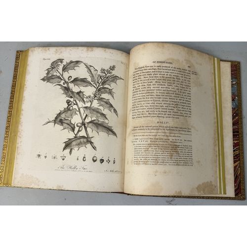 292 - JOHN EVELYN: SILVA AND TERRA, VOL I AND II, BROWN LEATHER BOUND
With engraved plates.
Books 30.5cm x... 