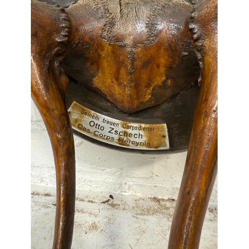 364 - A PAIR OF ANTIQUE RED DEER ANTLERS WITH PLAQUE FOR OTTO ZSCHECH, DAS CORPS HERCYNIA
Point to point 6... 