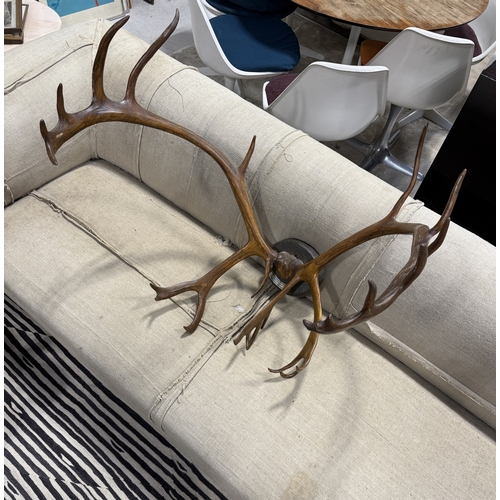 364 - A PAIR OF ANTIQUE RED DEER ANTLERS WITH PLAQUE FOR OTTO ZSCHECH, DAS CORPS HERCYNIA
Point to point 6... 