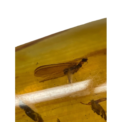 435 - A FLYING INSECT FOSSIL IN DINOSAUR AGED AMBER
A large piece of amber containing an unidentified flyi... 