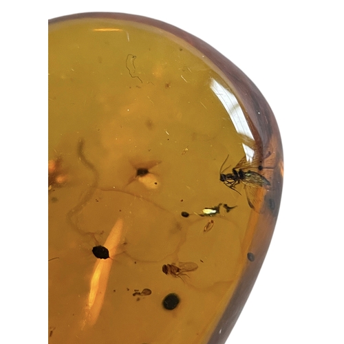 437 - MULTIPLE INSECT FOSSILS IN DINOSAUR AGED AMBER
A large piece of amber containing multiple flying ins... 