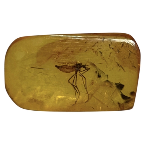 438 - A MOSQUITO FOSSIL IN DINOSAUR AGED AMBER
Entrapped in this piece of amber is a highly detailed mosqu... 