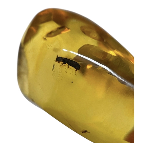 439 - UNKNOWN INSECT FOSSIL IN DINOSAUR AGED AMBER
Entrapped in this piece of amber is an unusual insect, ... 