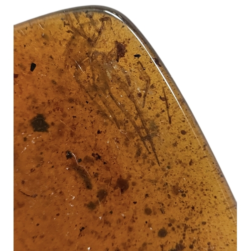 440 - SPIDER AND BEETLE FOSSIL IN DINOSAUR AGED AMBER
A large piece of amber containing the remains of a s... 