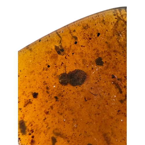 440 - SPIDER AND BEETLE FOSSIL IN DINOSAUR AGED AMBER
A large piece of amber containing the remains of a s... 