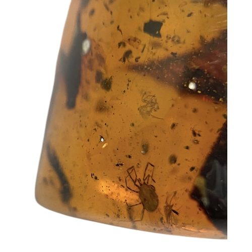 441 - PARASITIC TICK AND SPIDER FOSSIL IN DINOSAUR AGED AMBER 
A large piece of amber containing a parasit... 