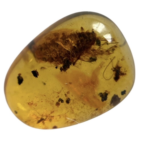 442 - COCKROACH FOSSIL IN DINOSAUR AGED AMBER
Entrapped in this amber is a detailed cockroach. From the am... 