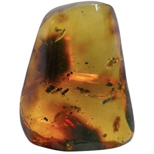 444 - A SWARM OF BEES IN AMBER FOSSIL
This large piece of amber contains many detailed bees. From the ambe... 