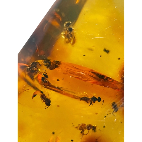 444 - A SWARM OF BEES IN AMBER FOSSIL
This large piece of amber contains many detailed bees. From the ambe... 