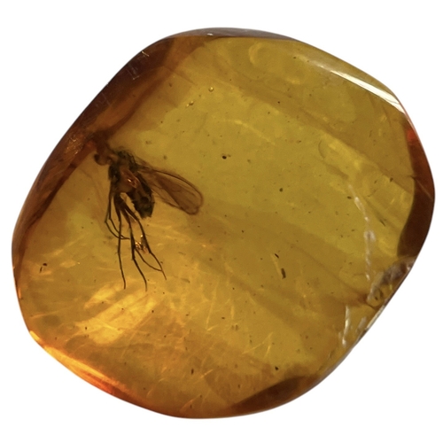 451 - A FLYING INSECT FOSSIL IN BALTIC AMBER
A highly detailed flying insect in Baltic amber. From Kalinin... 